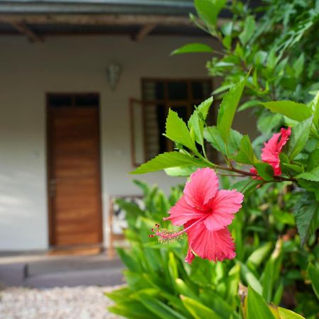 Kendwa Breeze Bungalows 외부 사진