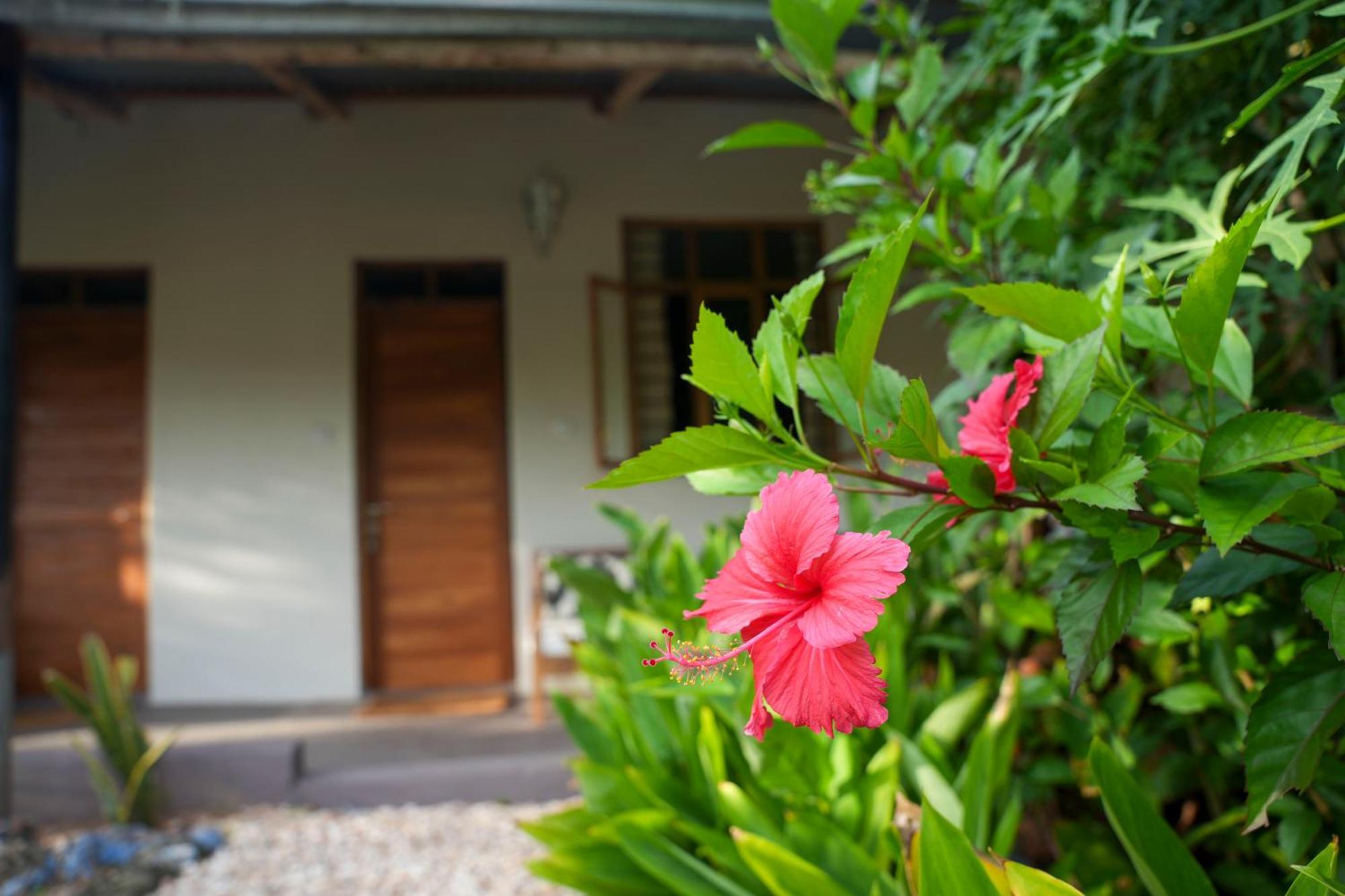 Kendwa Breeze Bungalows 외부 사진